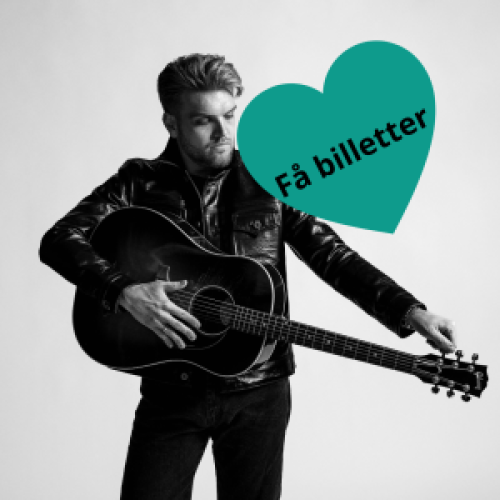 Jacob Dinesen på Realen